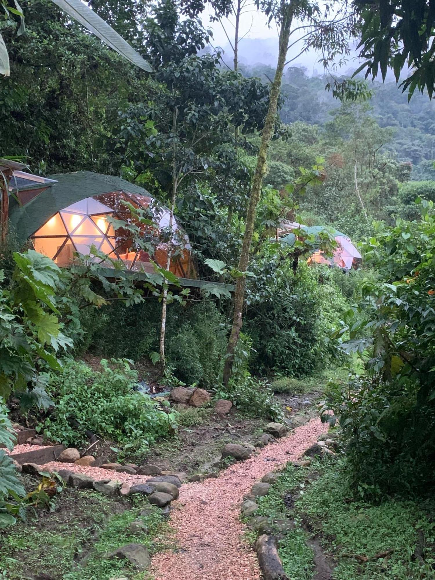 Appartement Magic Elf Glamping à Mindo Extérieur photo